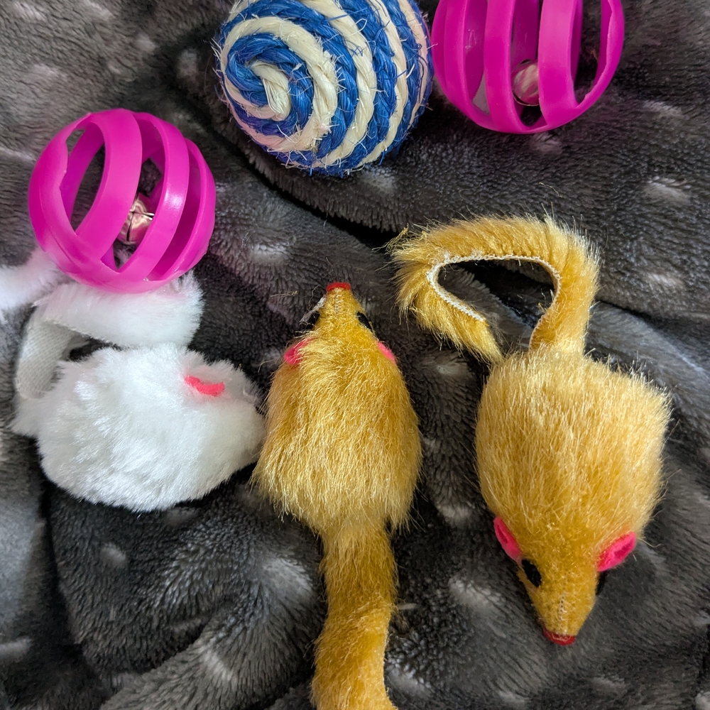 Set of Cat Toys with Pink and Yellow Accents